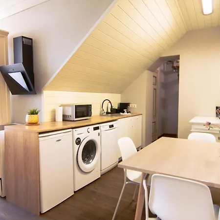 Enjoy Old Town Vibes In 1716 Laipu With 4 Stylish And 1 Penthouse * ريغا