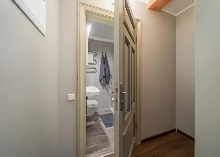 Enjoy Old Town Vibes In 1716 Laipu With 4 Stylish And 1 Penthouse *