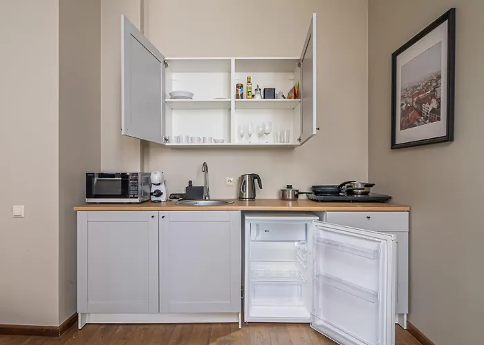 Enjoy Old Town Vibes In 1716 Laipu With 4 Stylish And 1 Penthouse Διαμέρισμα Ρίγα